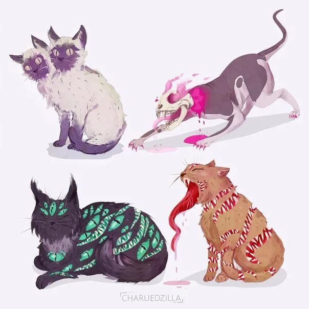 Коты Воители адопты