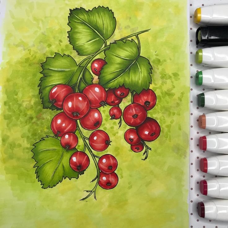 Рисунки маркерами фрукты