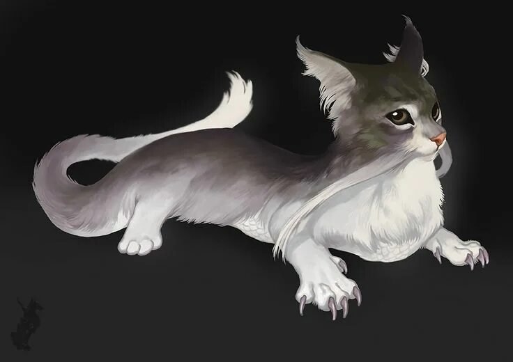 Дракон и кошка