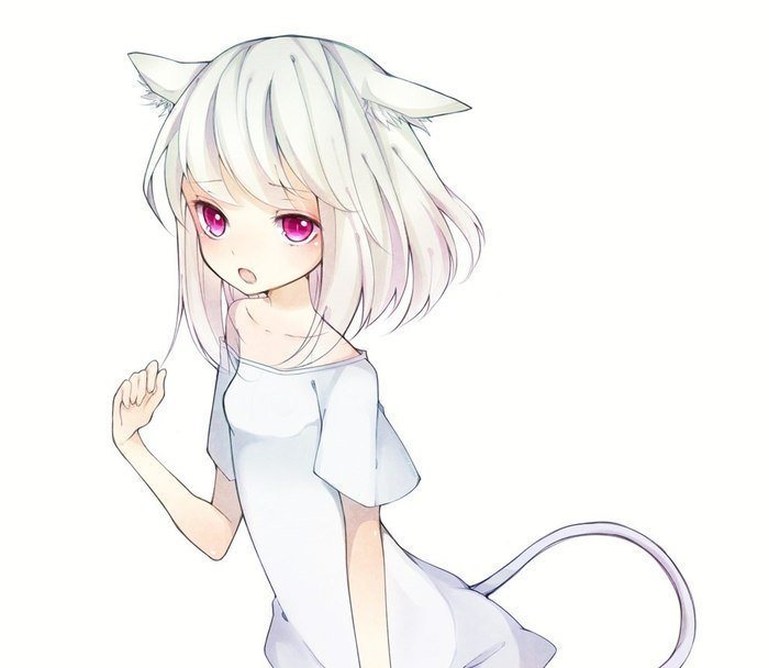 Аниме кошкодевочки