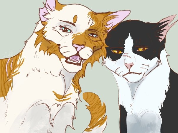Коты Воители Быстролап