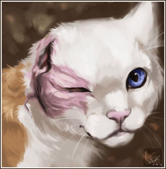 Коты Воители Яролика арт