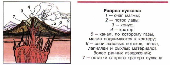 Схема строения вулкана ОБЖ
