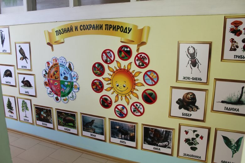 Тематические стенды в детском саду