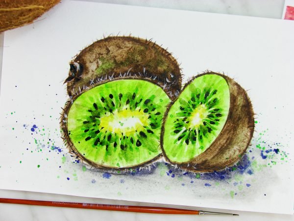 Киви рисунок акварелью