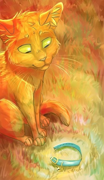 Коты воители арты рыжик