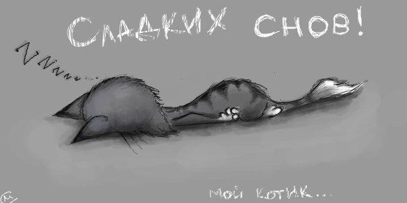 Спокойной ночи смешные картинки