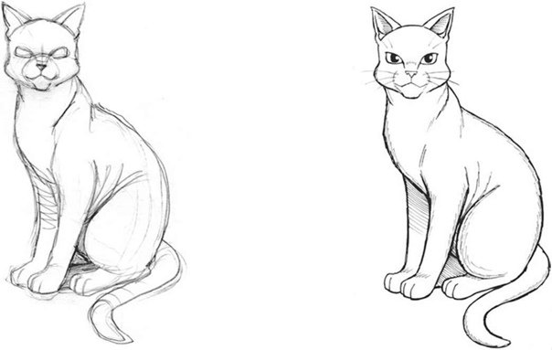 Сидячий кот рисунок