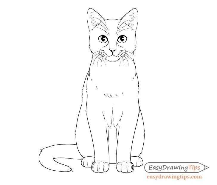 Кот сидит рисунок