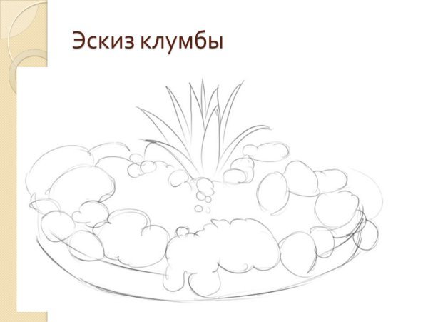 Клумба рисунок для срисовки