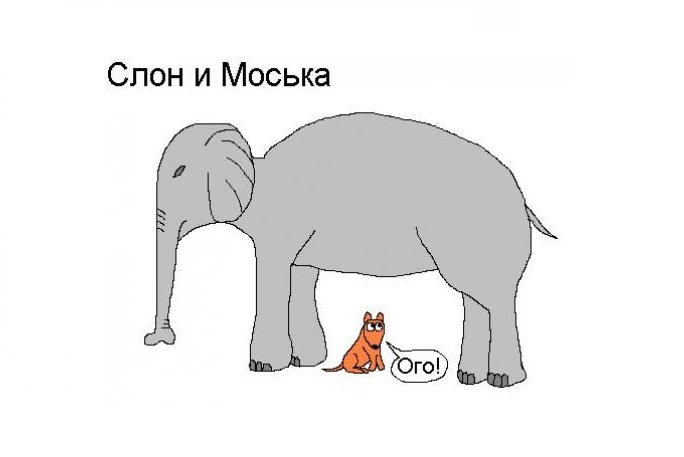 Слон и моська нарисовать