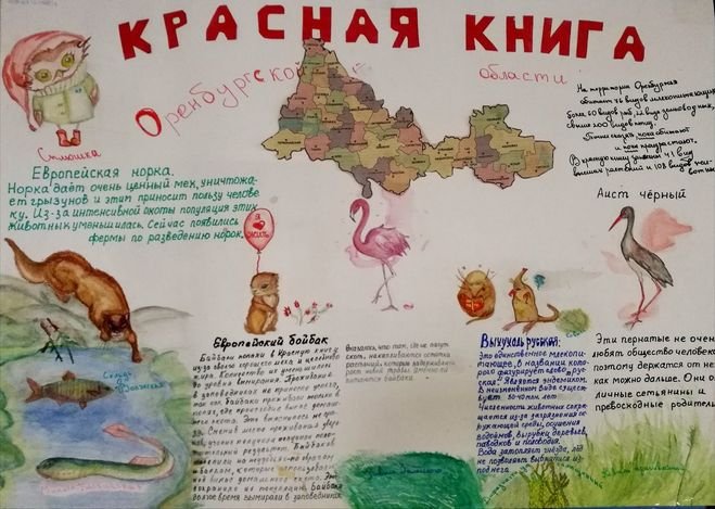 Красная книга