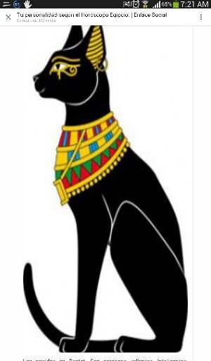 Рисование египетской кошки