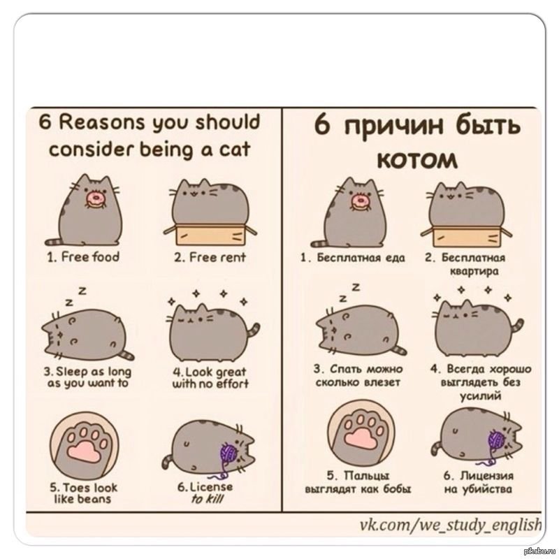 Прикольные надписи для личного дневника