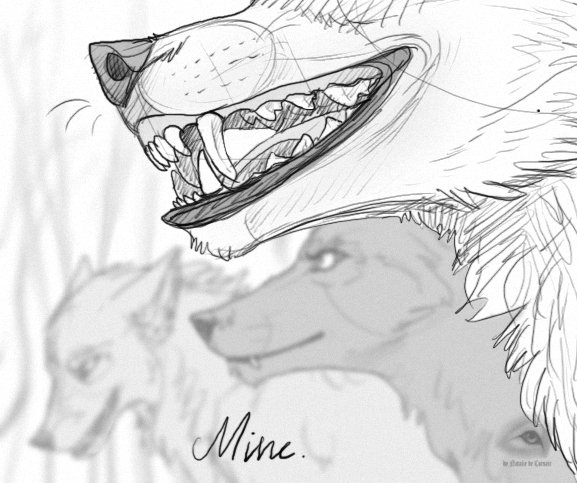 Пасть волка референс