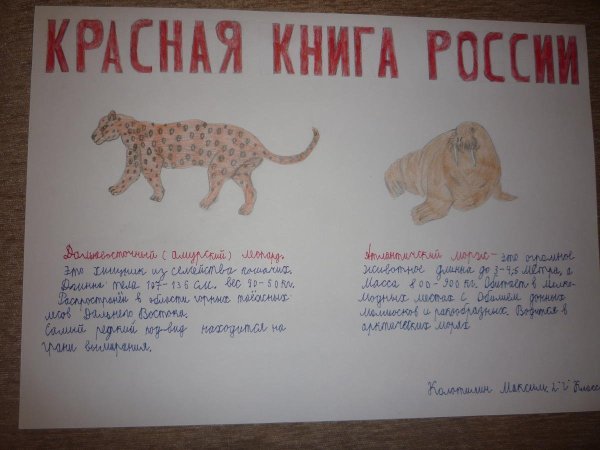 Красная книга России. Животные