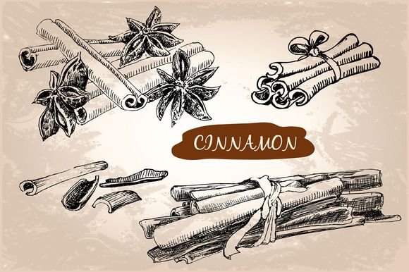 Корица векторный рисунок