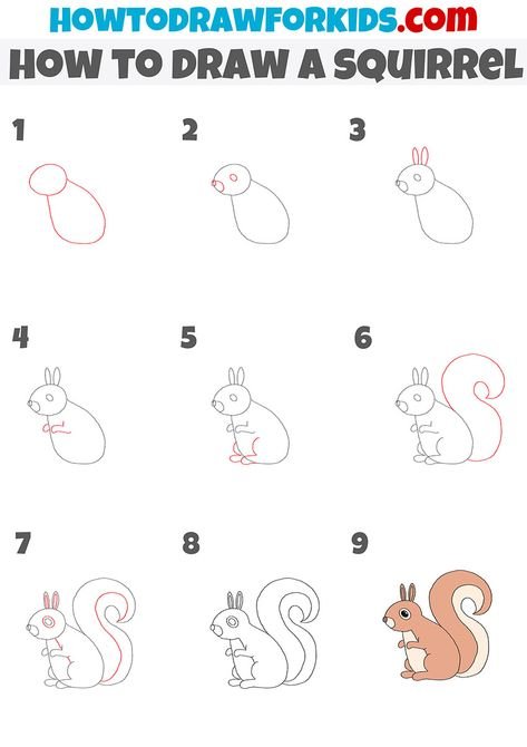 Поэтапный рисунок белки