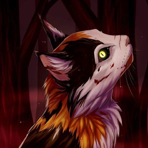 Кленовницы коты Воители