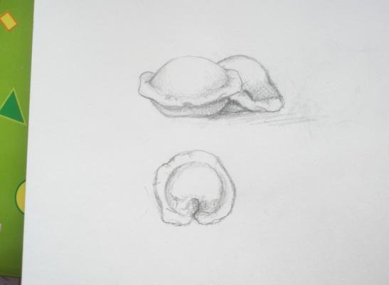 Пельмени рисунок