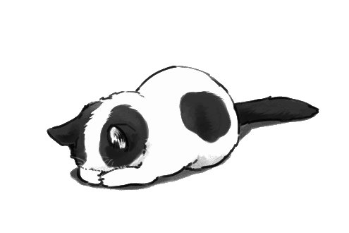 Анимешные котики