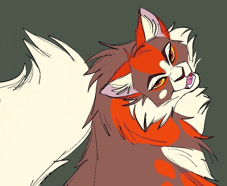 Mapleshade коты Воители