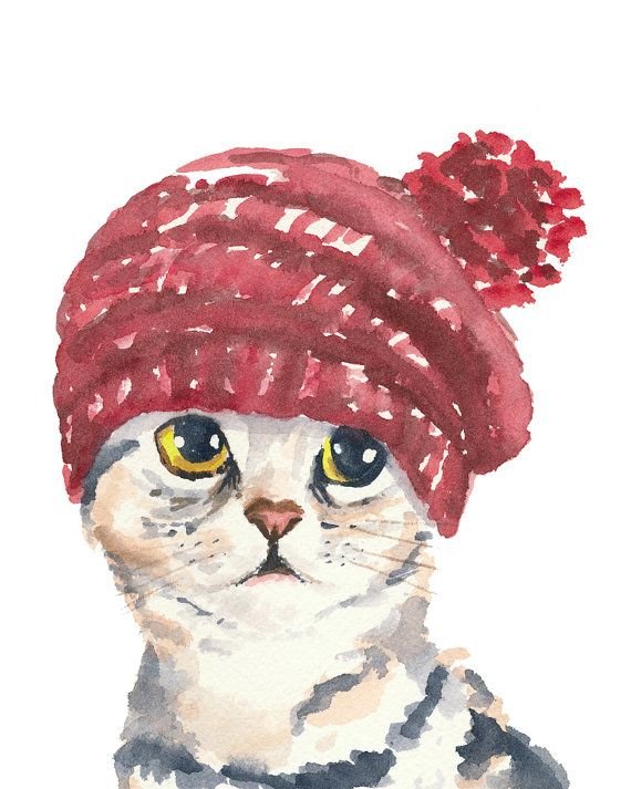 Котенок в шапочке