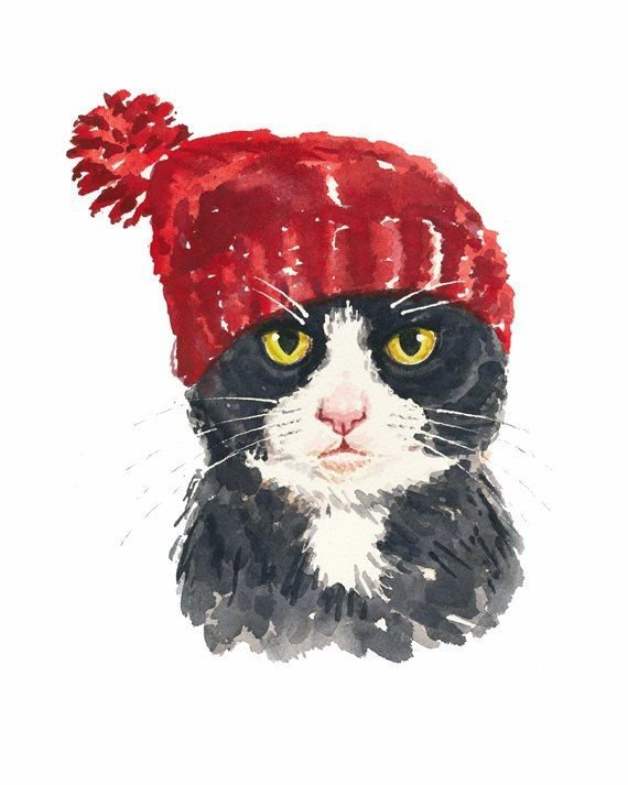 Нарисованный котик в шапочке