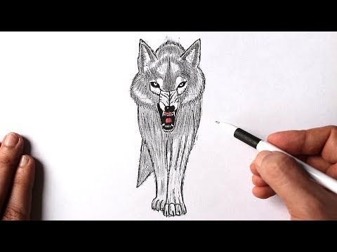 Волк детский рисунок карандашом