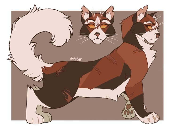 Кленовницы коты Воители
