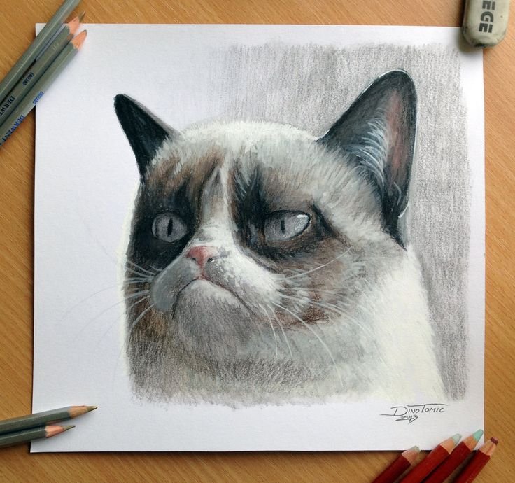 Красивые рисунки цветными карандашами