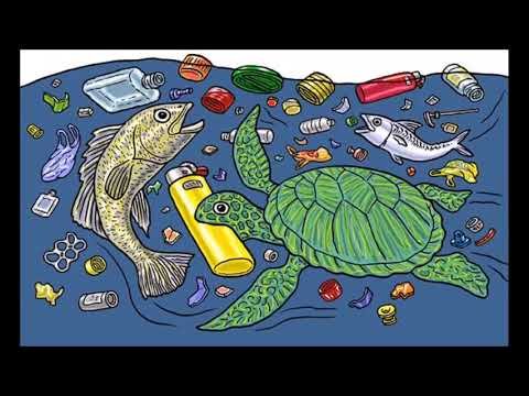 Загрязнение воды для детей рыбы