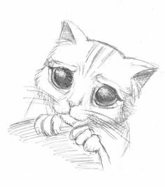 Рисунки котов карандашом