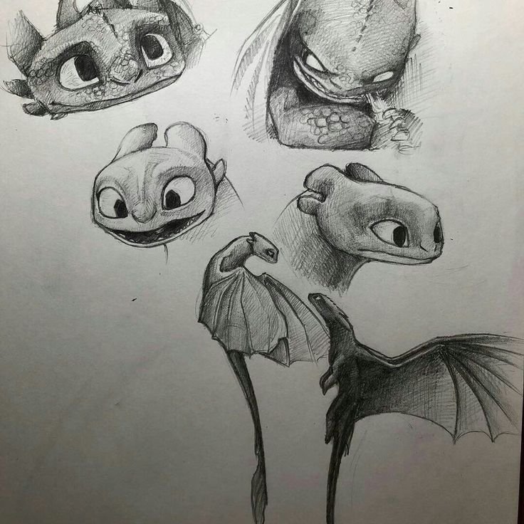 Фурия и Беззубик скетч