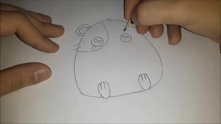 Хомяк рисунок карандашом