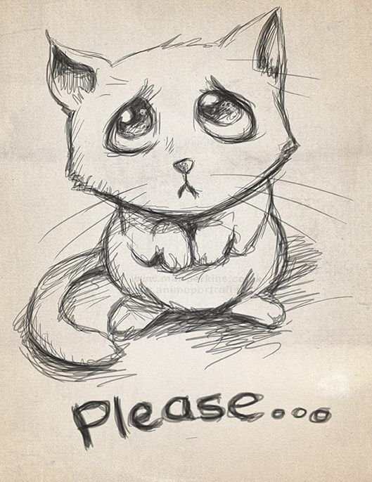 Котик рисунок