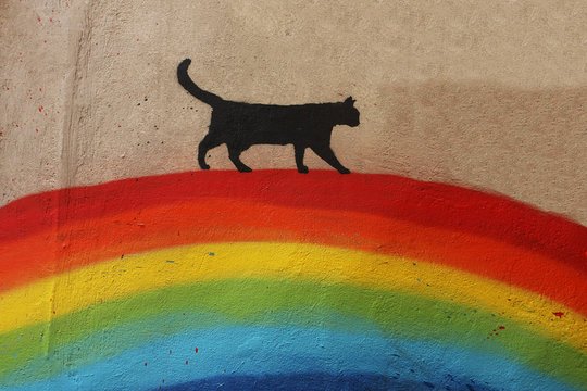 Кошечка на радуге