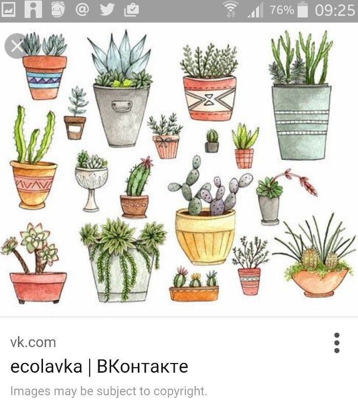 Референсы цветок в горшке