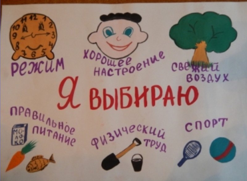 Рисунок ЗОЖ