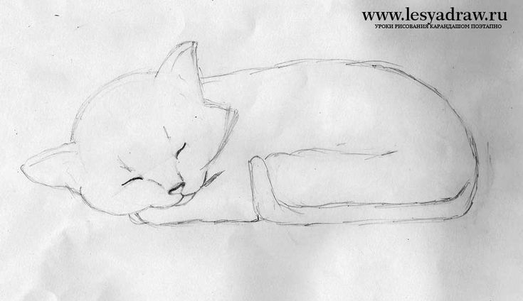 Котик карандашом