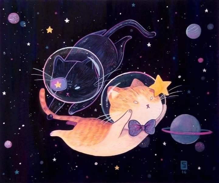 Космический кот