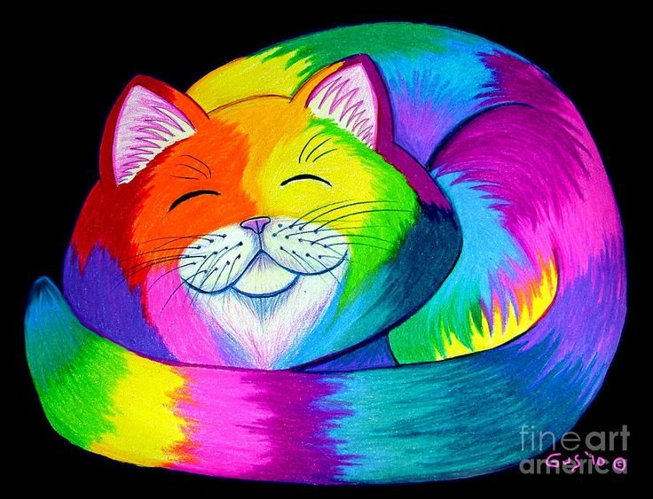 Радужная кошка рисунок