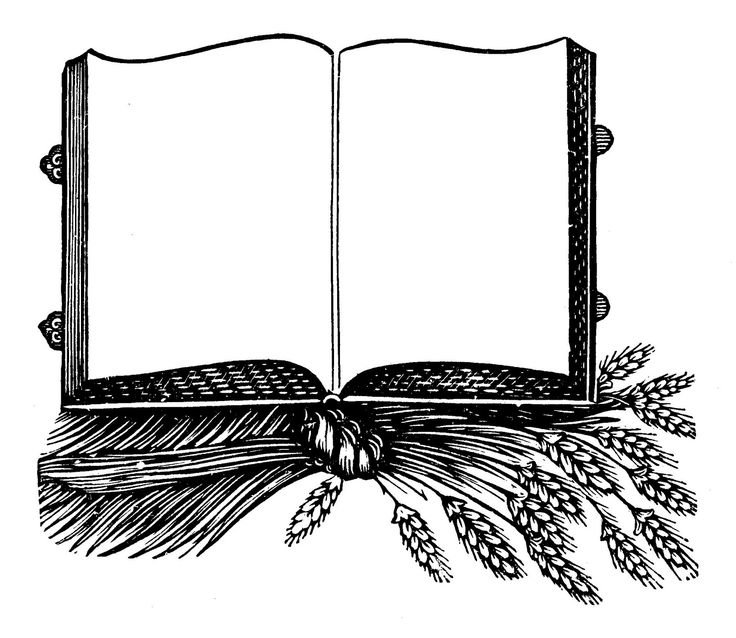 Старинная книга рисунок