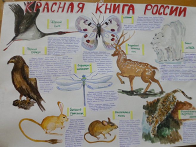 Краснокнижные животные плакат
