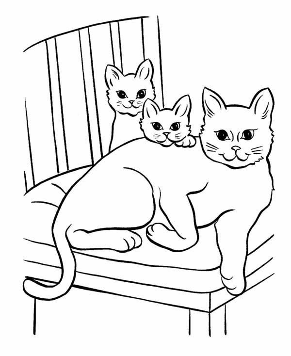 Раскраска кошка с котятами