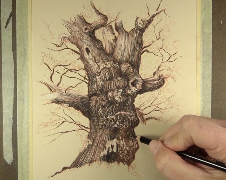 Дерево для рисования