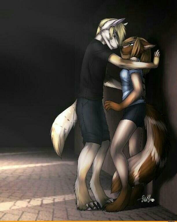 Коул Фардример