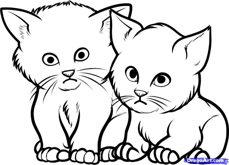 Котенок. Раскраска
