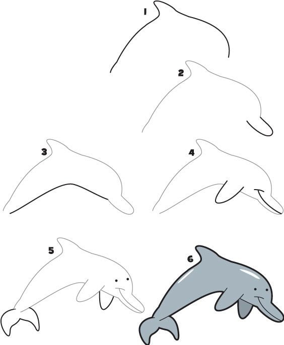 Дельфин рисунок карандашом для срисовки