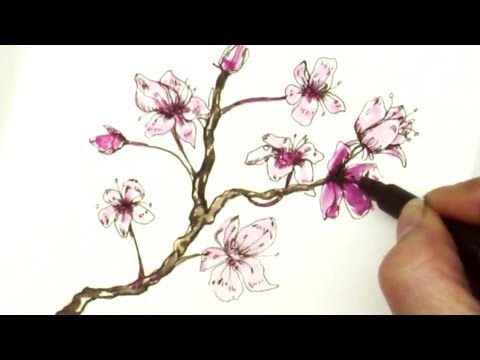 Ветка Сакуры карандашом для срисовки